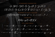Auttera Signature, a Script Font by MJB Letters (Thumbnail 10 of 10)