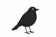 Bird Silhouette design bundle, an Illustration by BIPLOB EXPERT (Thumbnail 1 of 13)