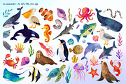 Sea Life. Watercolor Ocean Clipart, an Animal Illustration by Hanna's ArtLab (Thumbnail 2 of 5)