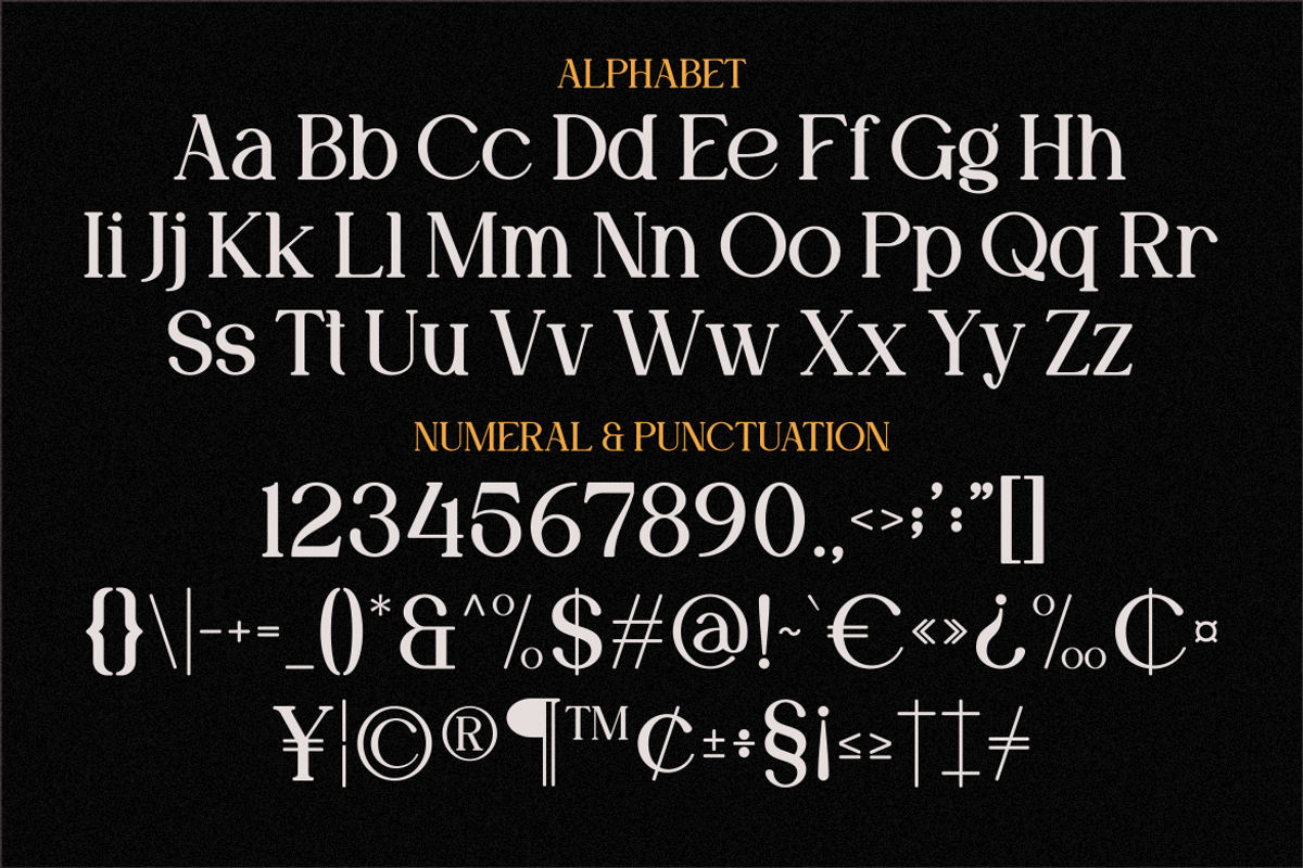 Moela - Serif Display Typeface, a Serif Font by MaikoHatta (Photo 5 of 7)