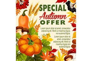 Autumn Sale, Fall Season Special Offer Poster