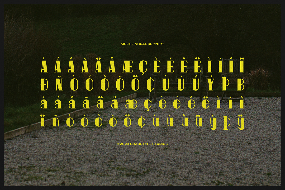 Pitolia | Decorative Display Serif, a Serif Font by gracetype_studio (Photo 11 of 12)