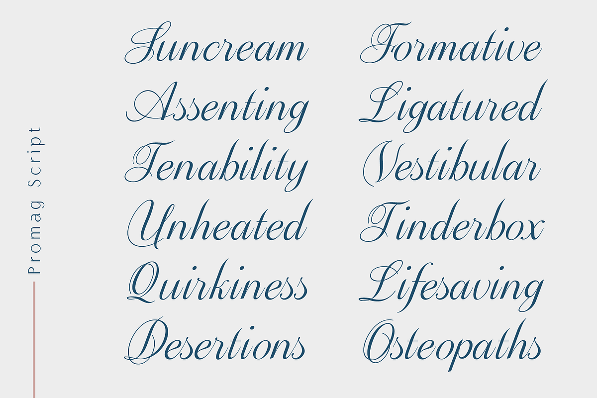 Promag Font Duo (Family), a Sans Serif Font by xdCreative (Photo 9 of 15)