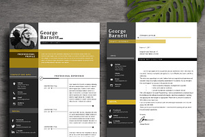 Resume Template 2 Page CV Template