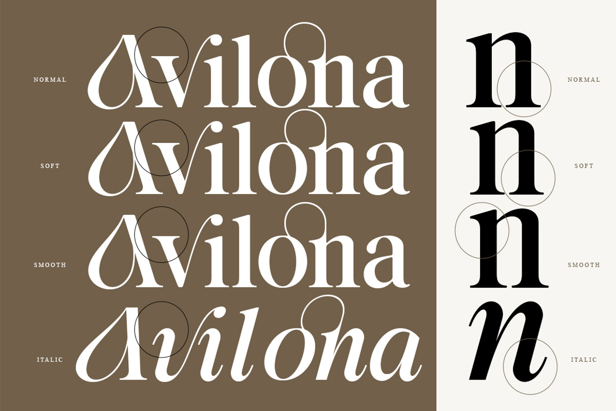 Avilona Super Family | 63 Style Font, a Serif Font by IM Studio (Photo 7 of 16)