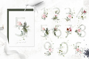 Amanda | Botanical set | 205 images, an Illustration by Karma (Thumbnail 7 of 27)