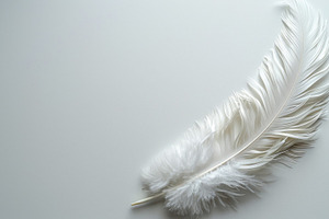 White Feather on Neutral Background Minimal Elegance and Purity, a Beauty & Fashion Photo by José Manuel Gelpi
