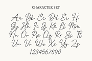 Infirmly Indicator - a Monoline Font, a Script Font by Ali Hamidi (Thumbnail 8 of 9)