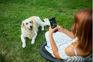 Dog lies on grass while person takes, a Nature Photo by IlliaBondarPhotography