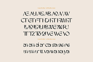 Trendy & Modern Fonts 5 - 10 Sets