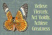 Radiance Beverage Modern Serif, a Serif Font by timelesstype.co (Thumbnail 11 of 20)