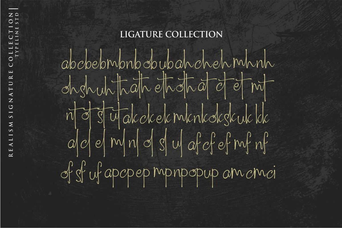 South City Realism Script, a Script Font by typeline studio (Photo 12 of 13)