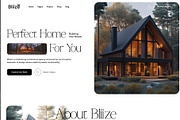 Bliize Multipurpose WordPress Theme, a WordPress Template by NaimaAnjum (Thumbnail 3 of 5)