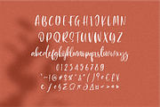 Blushon Brush Script, a Script Font by 24Design Studios (Thumbnail 8 of 9)
