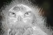 Drawing Effect Photoshop Action, an Action Add-On by Claudiu Gabriel (Thumbnail 8 of 9)