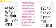 Wendelin Pro, a Sans Serif Font by ingoFonts (Thumbnail 5 of 10)