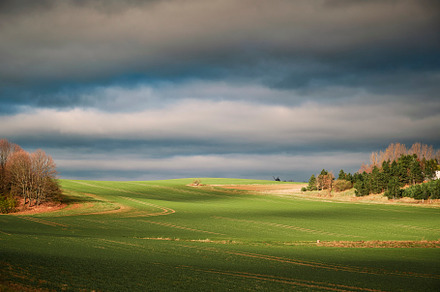 Field with sunset light and clouds
