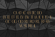 Brolachess - Luxury Ligatures Serif, a Serif Font by Almarkhatype (Thumbnail 9 of 10)