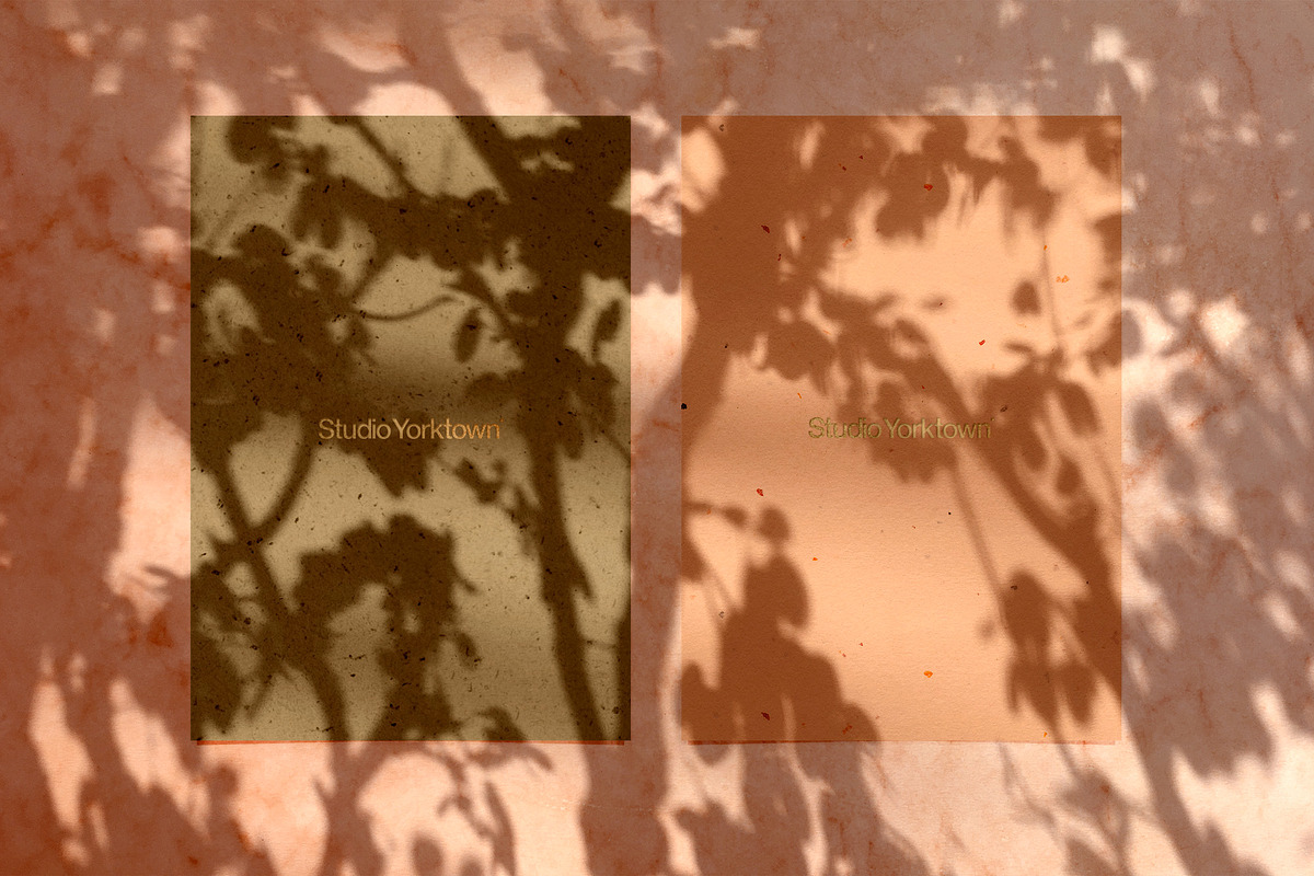 Madara - Botanical Shadow Overlays, a Texture Graphic by Studio Yorktown (Photo 7 of 17)