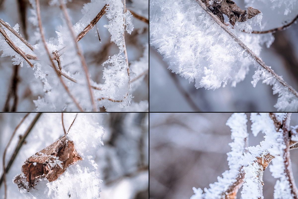 Frozen morning bundle /77pics, a Background Graphic by tydla (Photo 3 of 12)