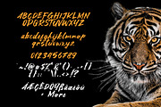 Asia Tiger Brush Font, a Script Font by khurasan (Thumbnail 5 of 5)