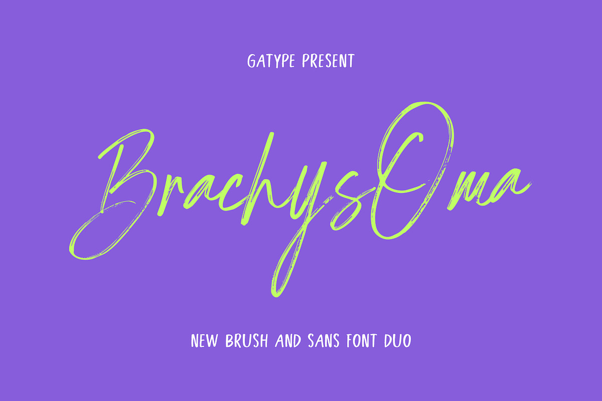 BrachysOma, a Handwritten Font by Gatype (Photo 1 of 12)