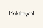 Fragier unique ligature serif font, a Serif Font by suhadidesign (Thumbnail 12 of 14)