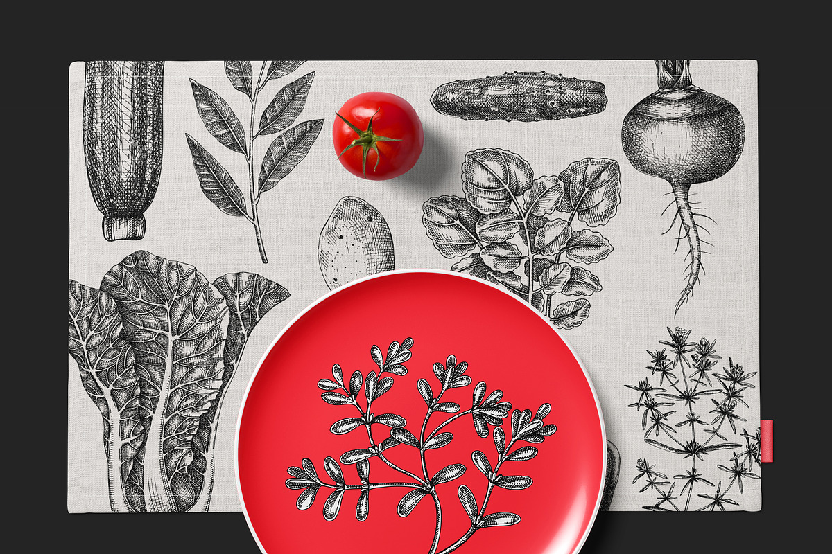 Vegetables & Herbs Vector Sketches., an Object Graphic by Yevheniia (Photo 11 of 11)