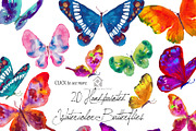 20 Watercolor Butterflies, an Illustration by SmallHouseBigPony (Thumbnail 2 of 4)