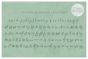 Inverness Script, a Script Font by Beck McCormick (Thumbnail 11 of 11)