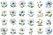 Wedding White Cosmos Flower Clipart, an Illustration by Sublimation Artist (Thumbnail 2 of 6)