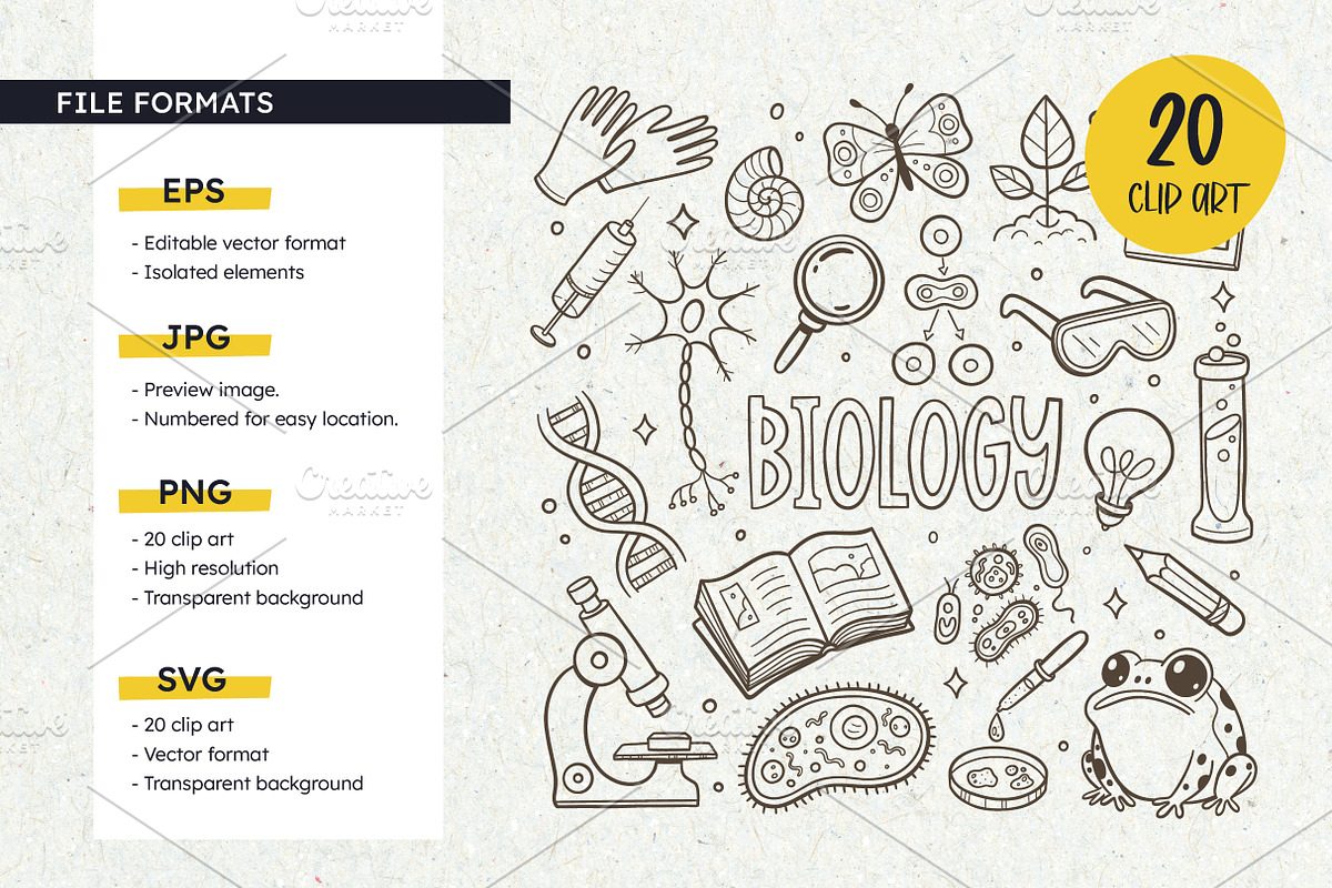 Science Doodles - Biology clipart, an Education Illustration by insemar (Photo 2 of 4)