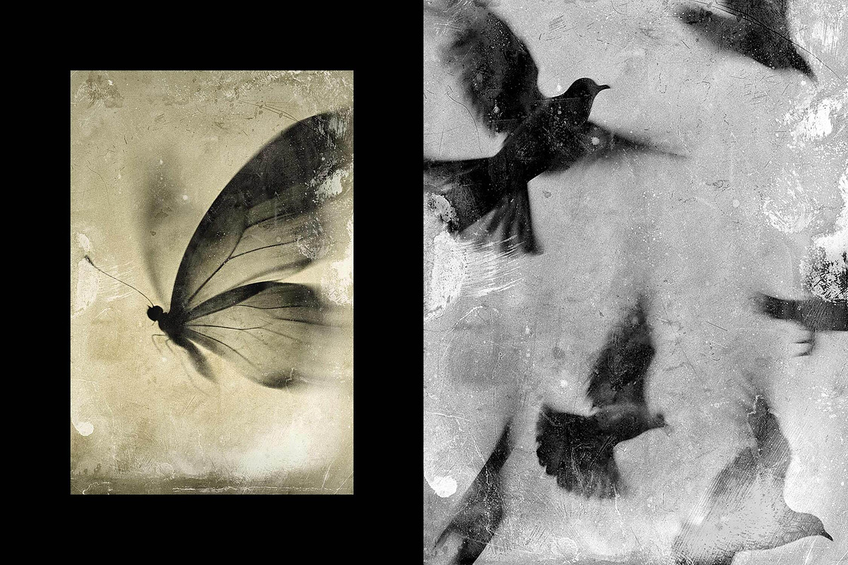 Antique Photo Effect, a Layer Style Add-On by Design Squad (Photo 2 of 5)