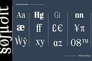 Esatis Smoothen - Serif Family, a Serif Font by Differentialtype (Thumbnail 6 of 12)