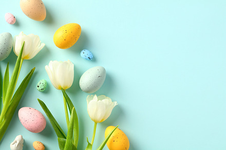Happy Easter greeting card design. Flat lay tulips and Easter eggs on pastel bl, a Holiday Photo by photoguns
