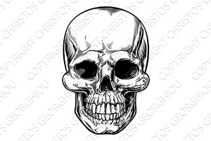 Skull Drawing