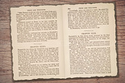 Old Book Paper (Double Page Spreads), a Texture Illustration by Secret Helper (Thumbnail 4 of 7)