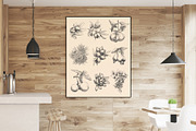 Hand Drawn Nuts set Vector, a Food Illustration by ON_lineart_store (Thumbnail 4 of 11)