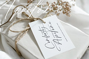 Brington Australi Stylish Signature, a Script Font by stylishtype.co (Thumbnail 8 of 20)
