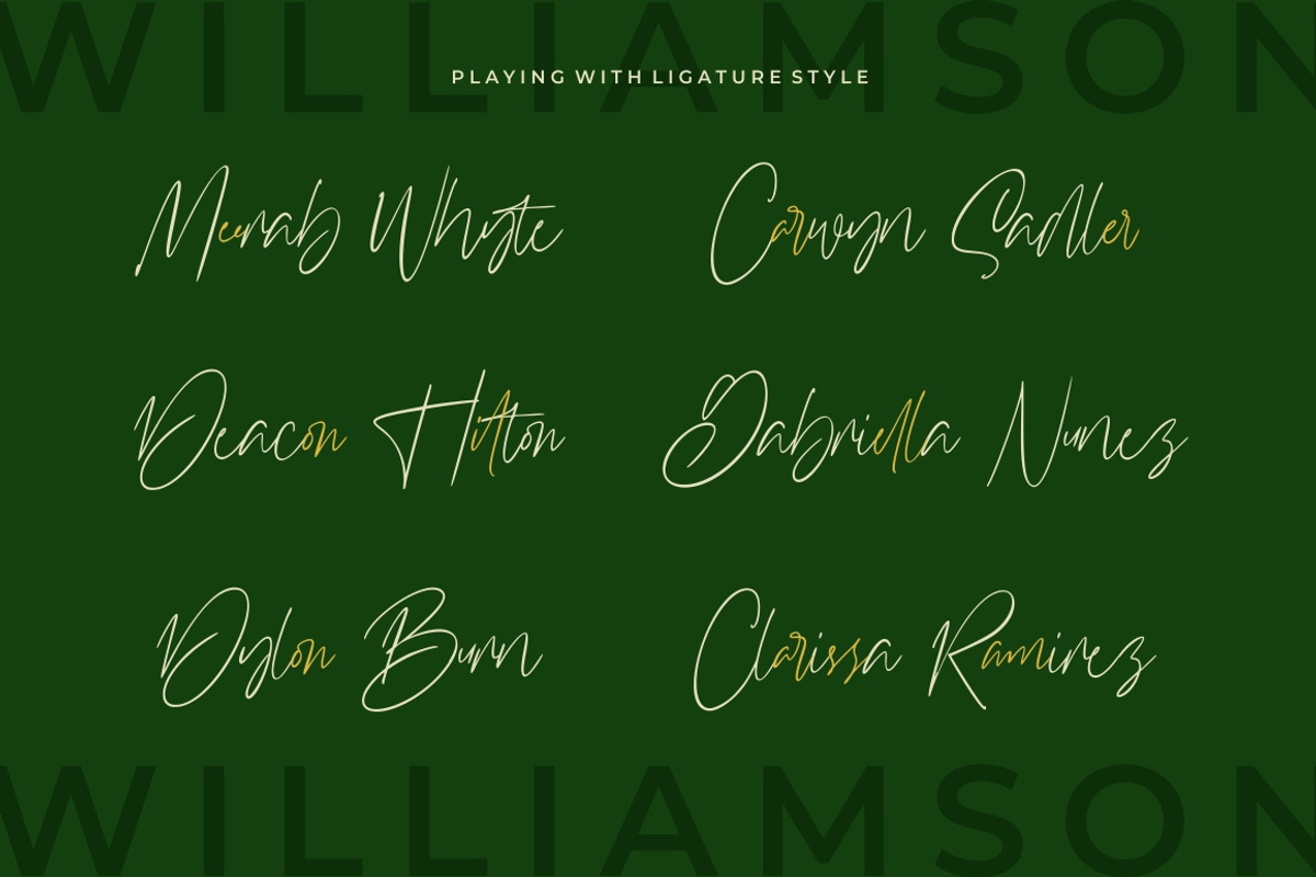 Williamson - Luxury Signature Font preview 6