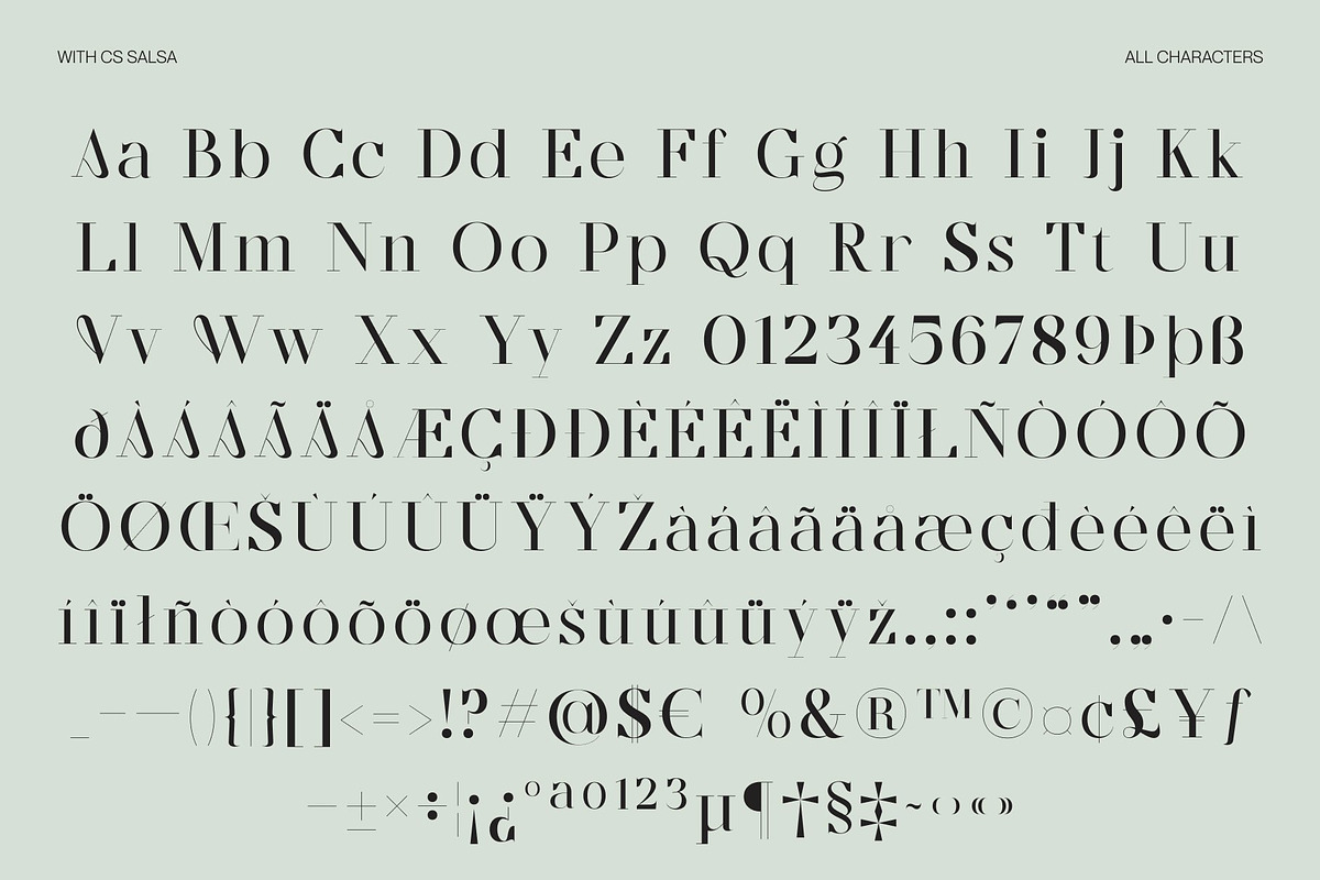 CS Salsa – Elegant Serif Font, a Serif Font by Craft Supply Co. (Photo 8 of 8)