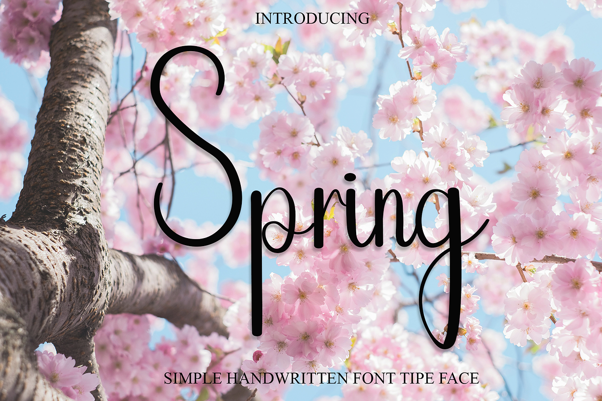 Spring, a Handwritten Font by FreshTypeINK (Photo 1 of 8)