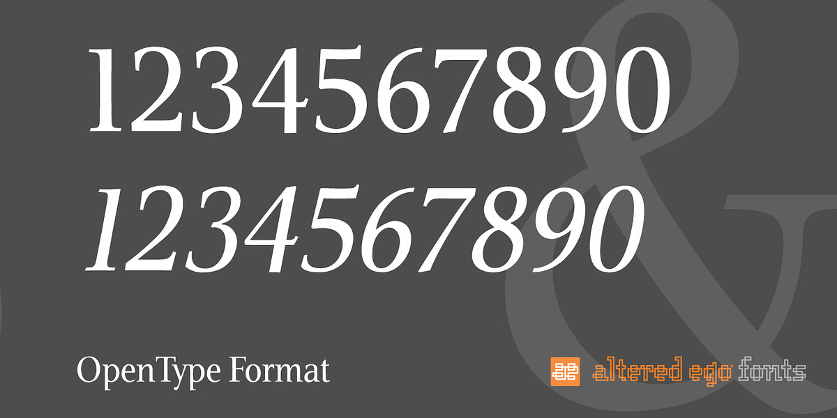 Veritas AE, a Serif Font by Altered Ego Fonts (Photo 3 of 5)