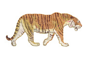 Hi-Res Vector Vintage Tiger, an Object Graphic by Theresa Barba (Thumbnail 1 of 2)