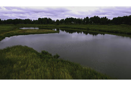 Top view of river with swamp in, a Nature Photo by Media Whale Stock