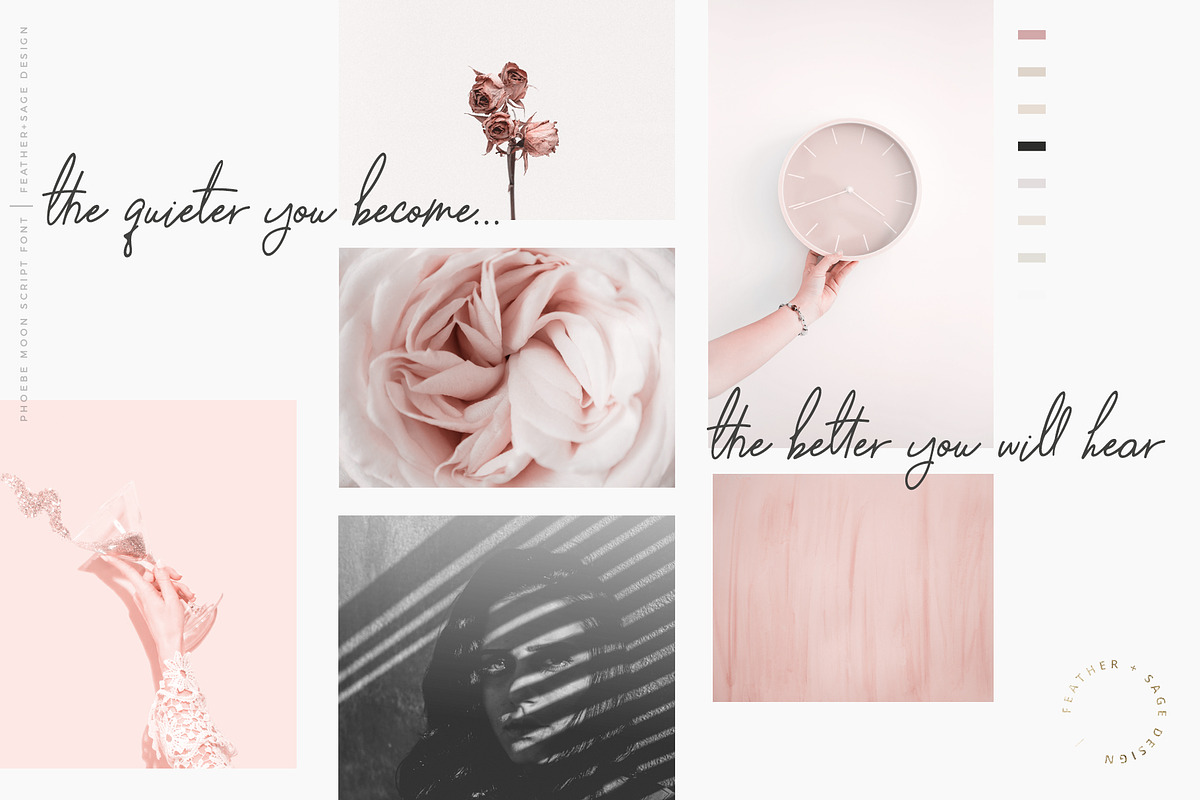 Phoebe Moon Font | Fresh Organic, a Script Font by Feather & Sage Design (Photo 13 of 24)