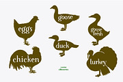 Farm Birds Vector collection, an Animal Illustration by Lubov Illustrations Shop (Thumbnail 6 of 6)