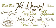 Dubliners, a Script Font by Frost Foundry (Thumbnail 7 of 10)