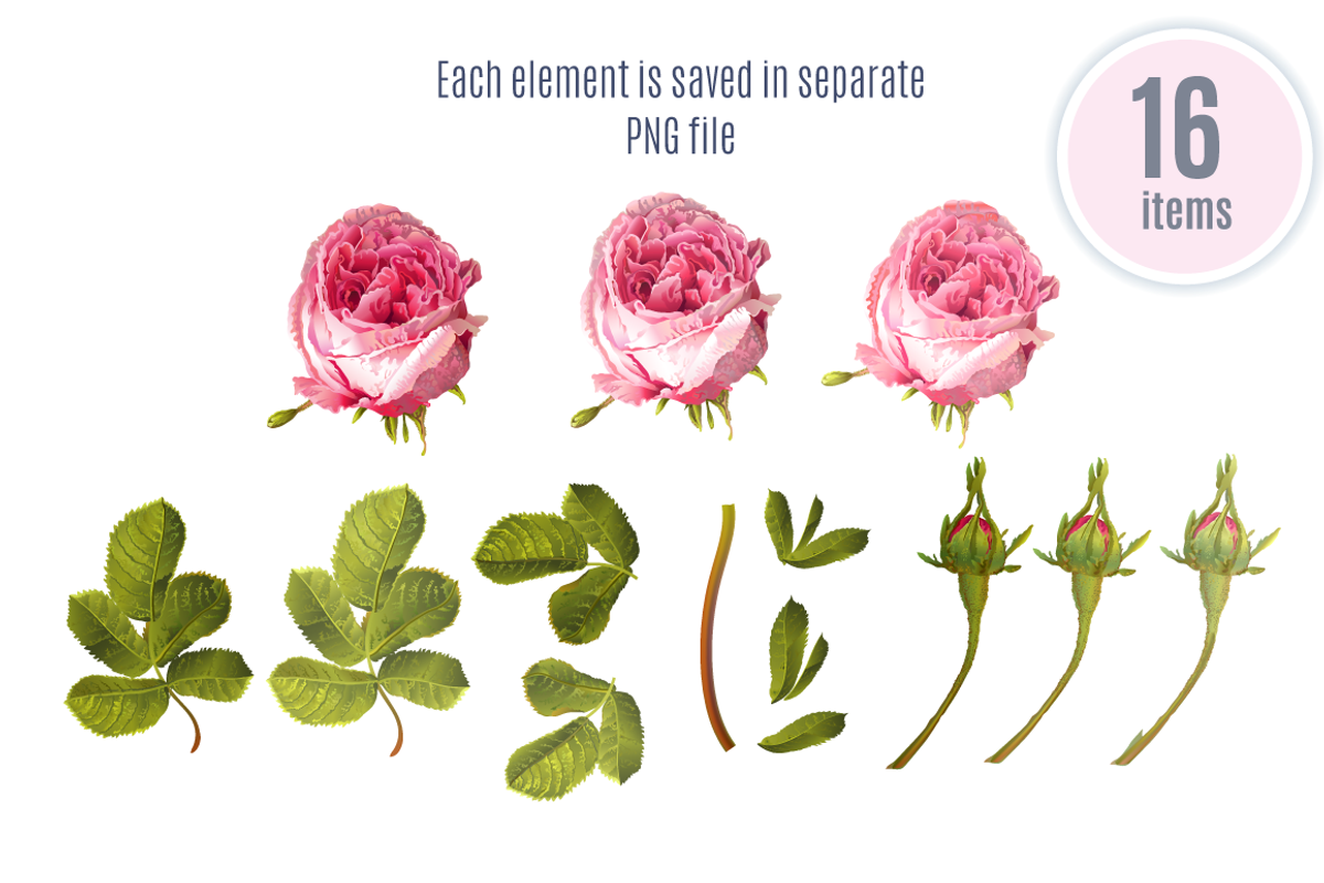 GARDEN ROSES|Wedding invitations, an Invitation Template by Purple-Bird (Photo 5 of 5)