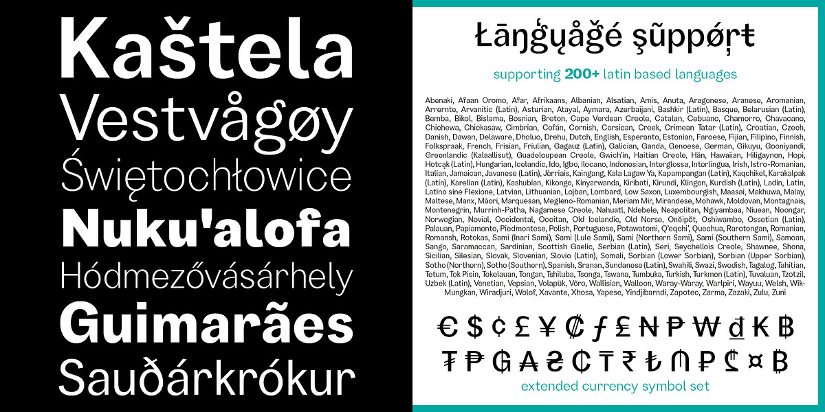 Garino, a Sans Serif Font by Julien Fincker (Photo 8 of 15)